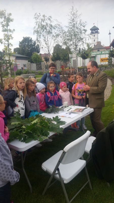 Warsztaty przyrodnicze w Ogrodzie Edukacyjnym Rycykowy Zakątek